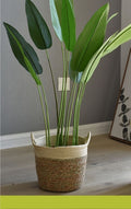Woven Rattan Seagrass Home Garden Storage Flower Baskets